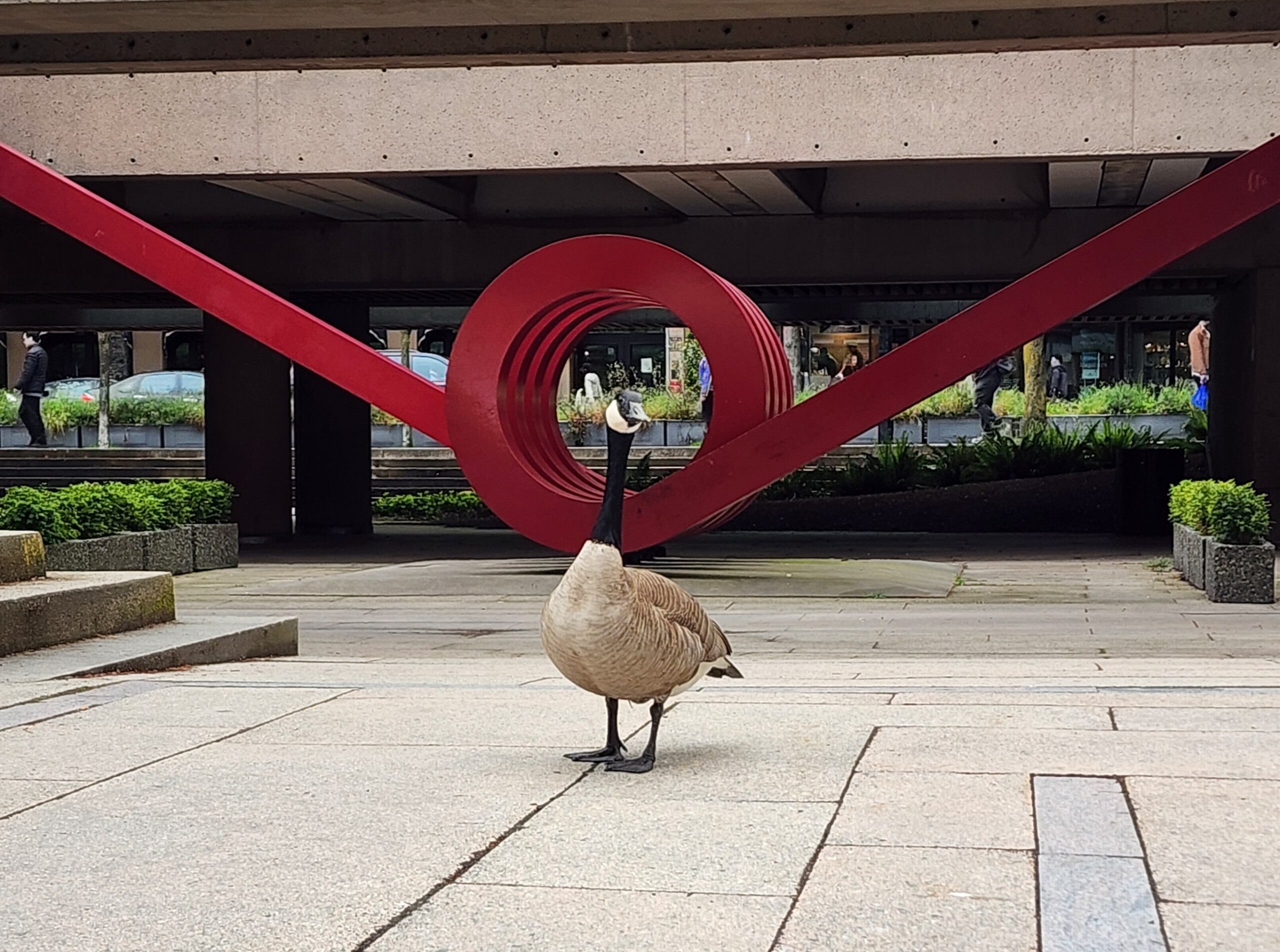 A goose perfectly placed beside a courthouse sculpture